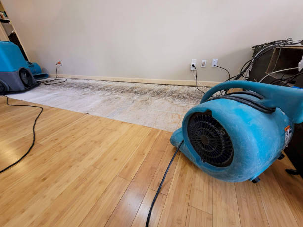 Reliable Basement Flood Cleanup contractor in Advance, NC by Hirex Water Damage