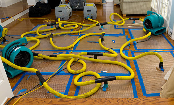 Professional Basement Flood Cleanup technician working in Advance, NC
